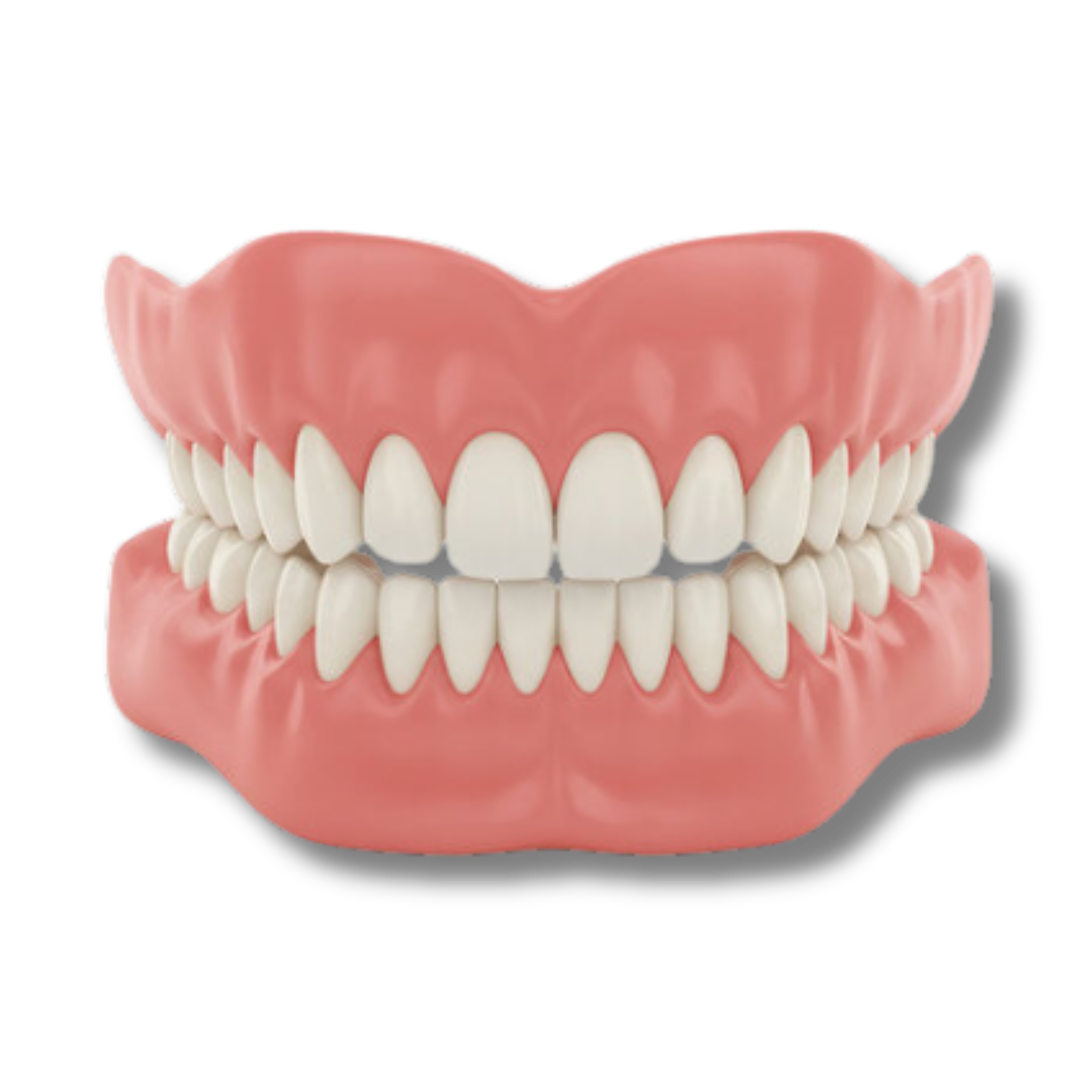Bredent™ - Denture Set