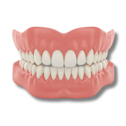 Bredent™ - Denture Set