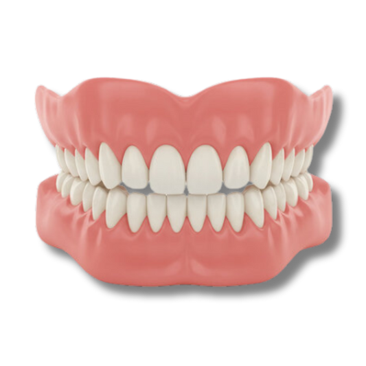 Bredent™ - Denture Set